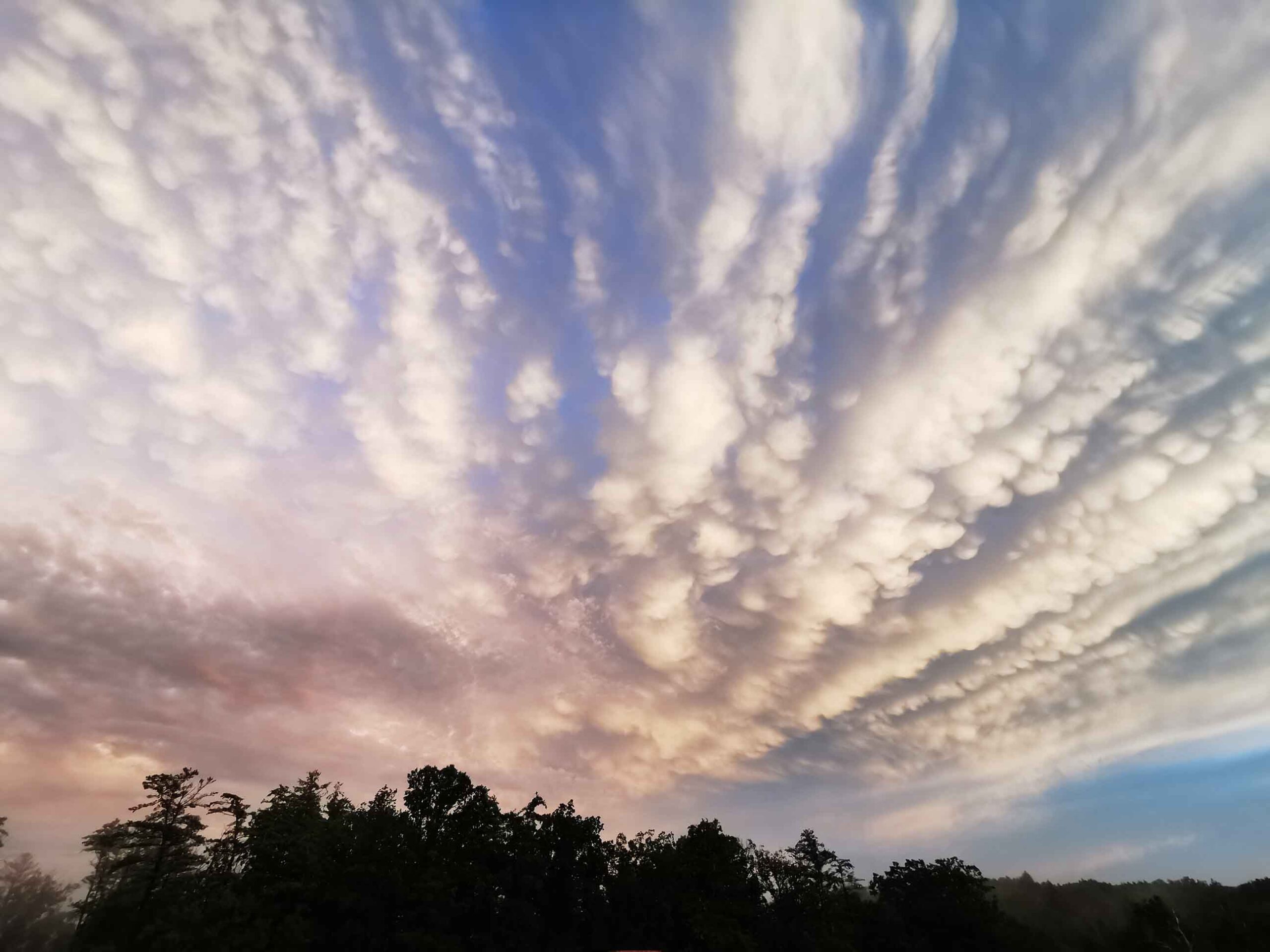 The Truth in Hand: The Key to a Stable and Fulfilling Life